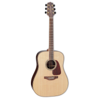 Takamine GD93 Acoustic guitar
