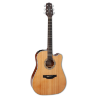 Takamine GD20CE-NS Electroacoustic guitar