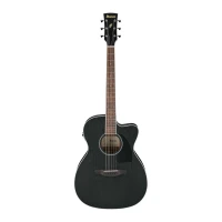 IBANEZ PC14MHCE-WK Ac. Guitar